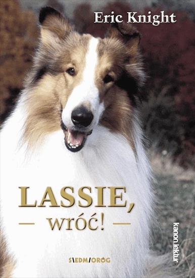 bajka-film-serial - Lassie, wróć.jpg