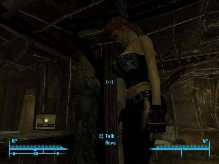Fallout 3 - ScreenShot5.jpg